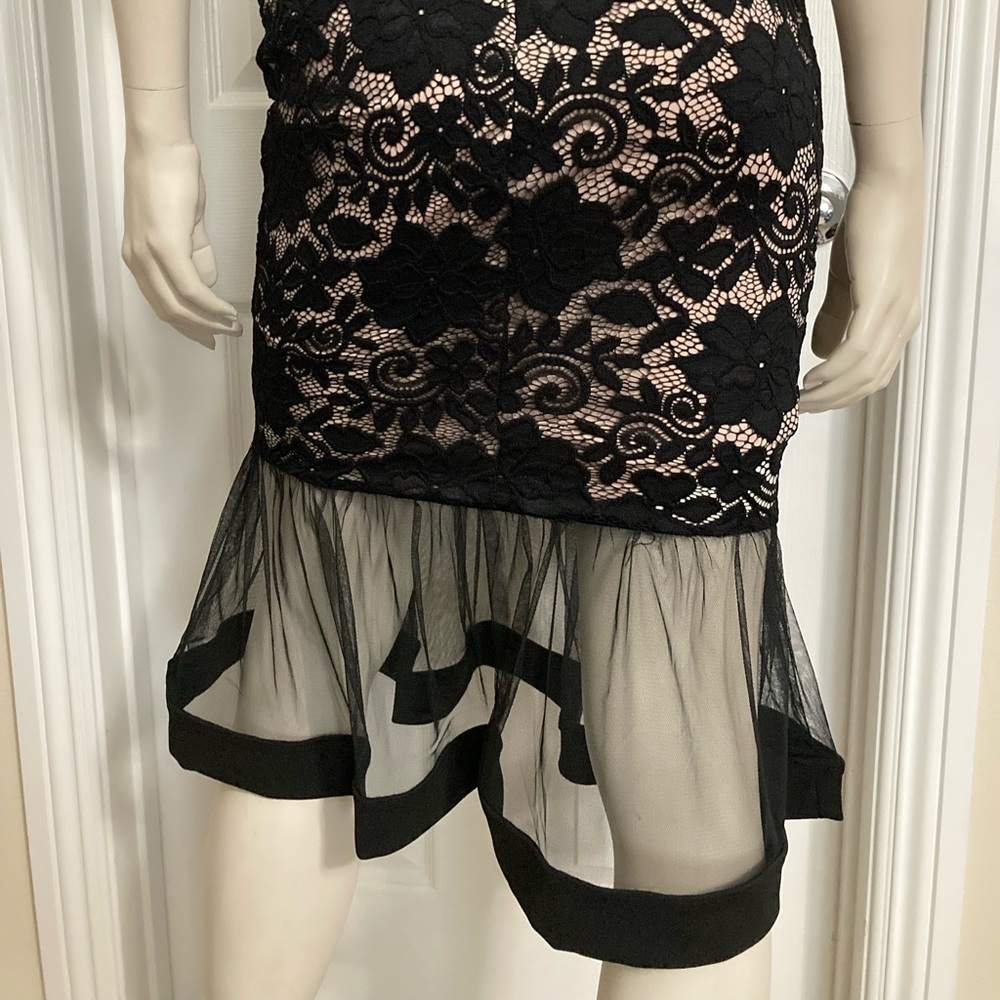 Olive Tree - image 6